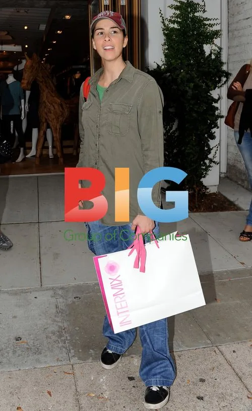 Sarah Silverman Forgets Car After Shopping