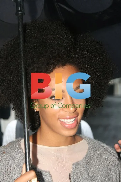 Solange Knowles at MBFW