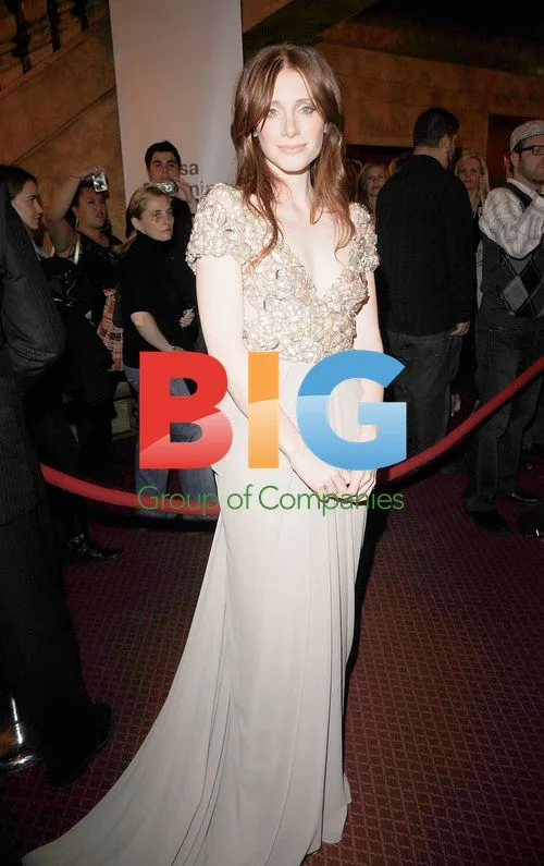 Bryce Dallas Howard at HereAfter Premiere