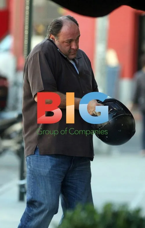 James Gandolfini at Standard Hotel