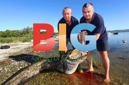 Anglers Catch Record Catfish in Croatia