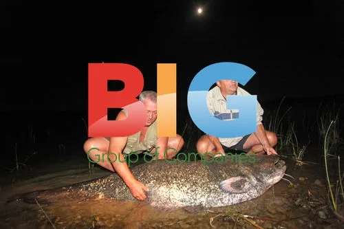 Anglers Catch Massive Catfish in Croatia