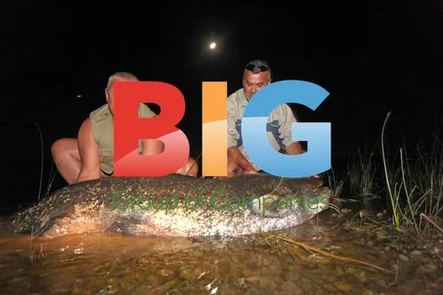 Anglers Catch Massive Catfish in Croatia
