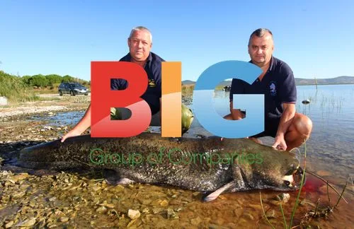 Anglers Catch Massive Catfish in Croatia
