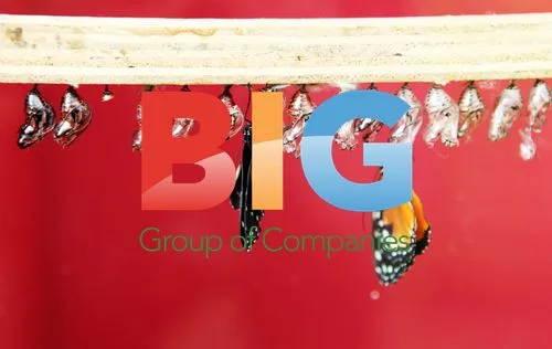Sensational Butterflies Exhibition