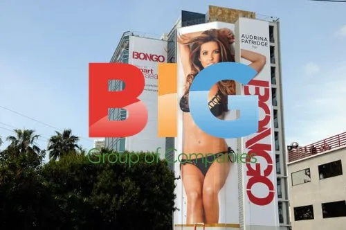 Audrina Patridge Bongo Billboard Unveiling