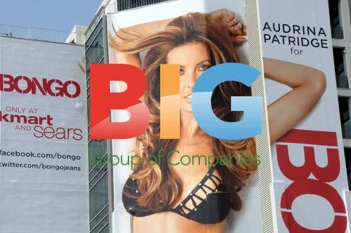 Audrina Patridge Bongo Clothing Billboard