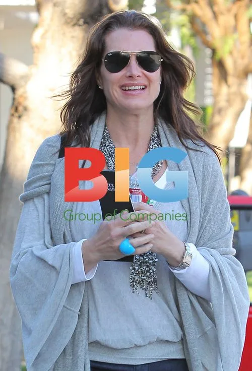 Brooke Shields out with friend in Santa Monica