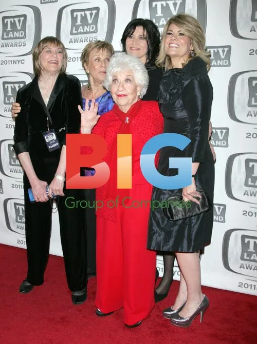 "Facts of Life" Cast at TV Land Awards