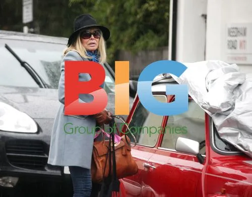 Brit Ekland avoids parking charges