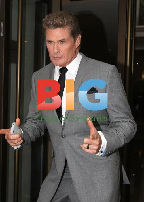 David Hasselhoff at Britain's Got Talent photocall