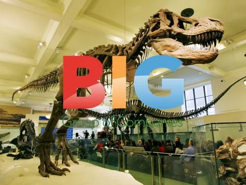Tyrannosaurus Rex fossils exhibited