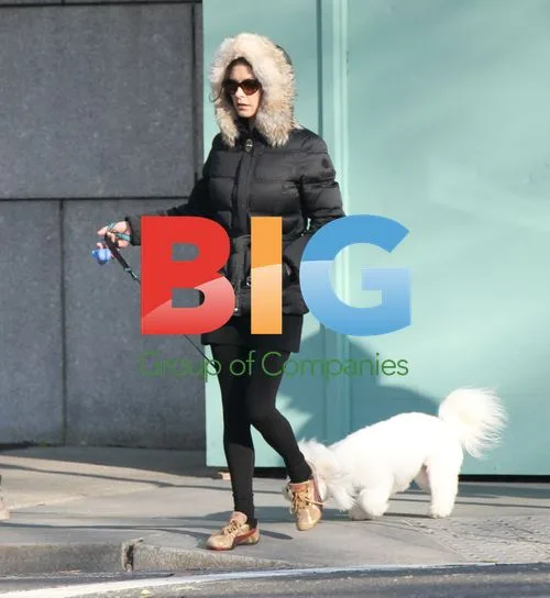 Catherine Zeta-Jones Walks Dog in NY