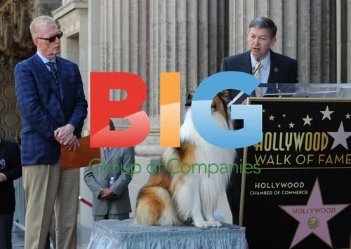 Bill Geist Honored with Hollywood Walk of Fame Star