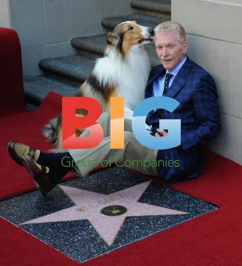 Bill Geist Honored on Hollywood Walk of Fame