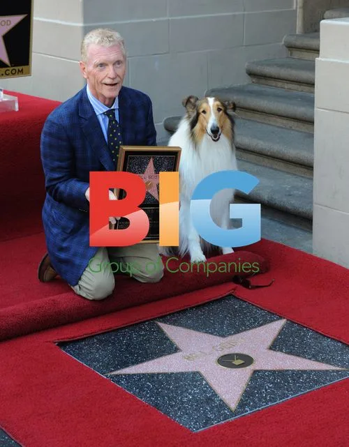 Bill Geist and Lassie Honored on Hollywood Walk of Fame