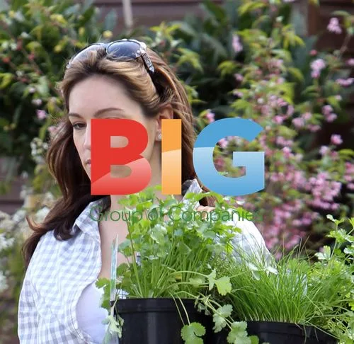 Pregnant Kelly Brook Shops for Herbs