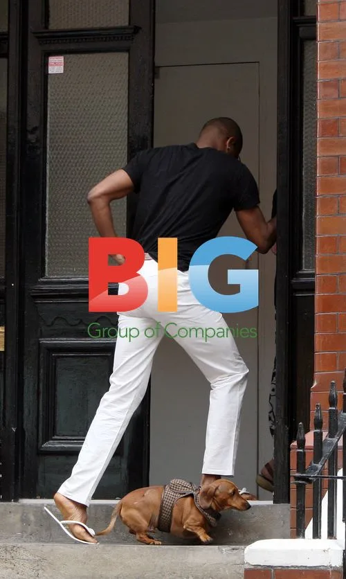 Alex Reid friend walks dog in Soho