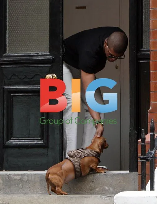 Alex Reid's mystery male friend walks dog