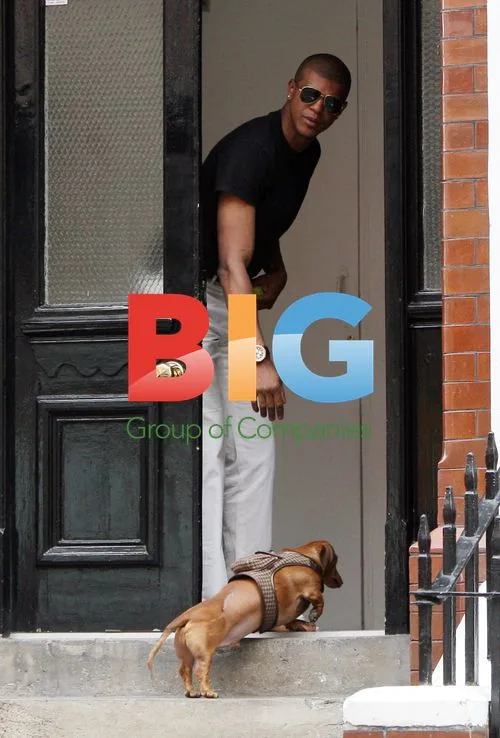 Alex Reid's mystery male friend walks dog