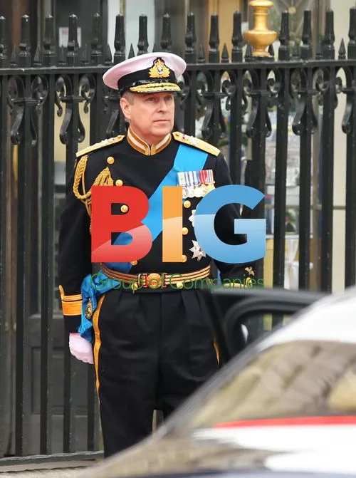 Royal Family at Royal Wedding