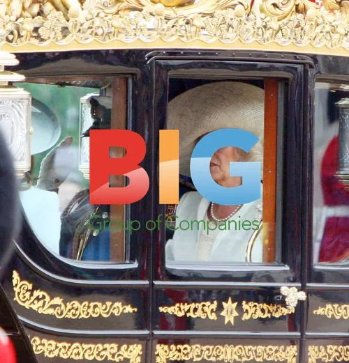 William and Catherine's Carriage Procession