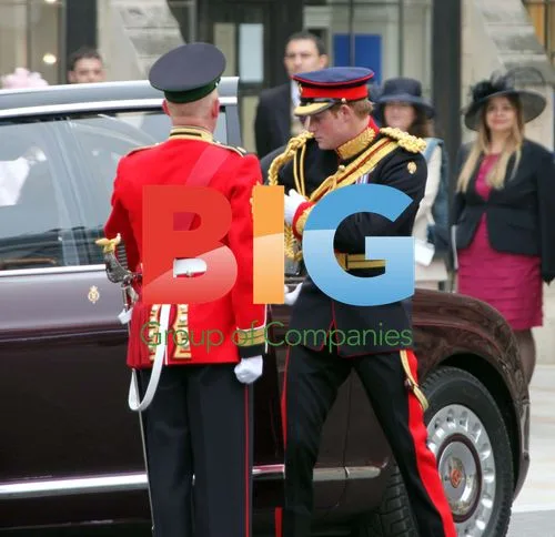 Royal Family at Royal Wedding
