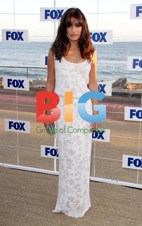 Lea Michelle at Fox All Star Party 2011
