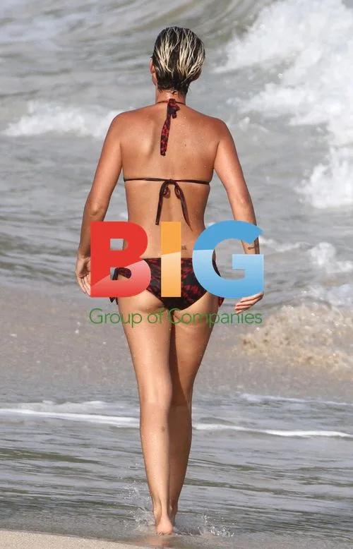 Laeticia Hallyday's Beach Day in France