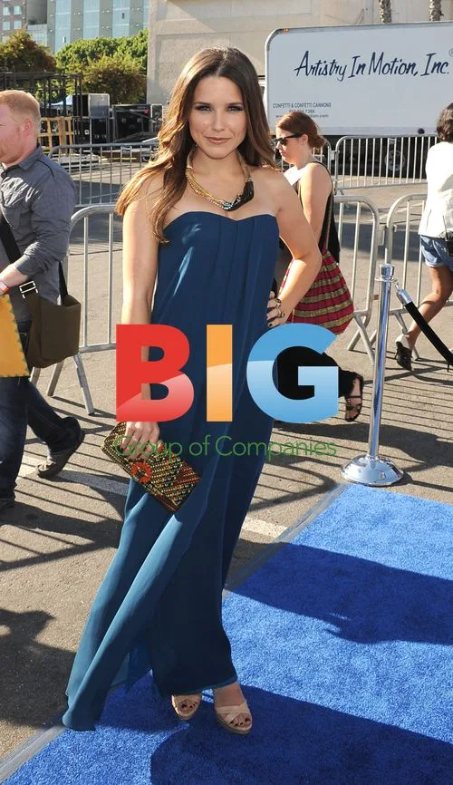 Sophia Bush at 2011 VH1 Do Something Awards