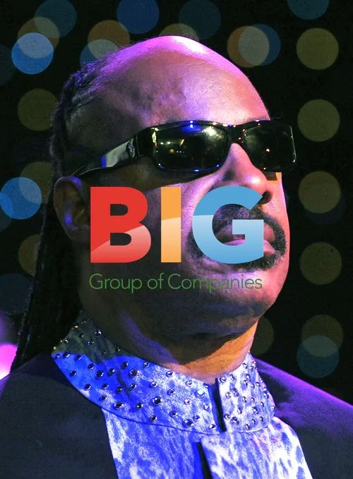 Stevie Wonder at Peace Gala