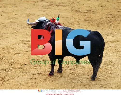 Katie Price Attends Bullfight in Spain
