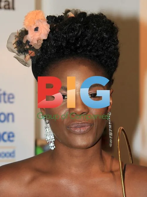 Shingai Shoiwa at Women Inspiration & Enterprise Press Launch