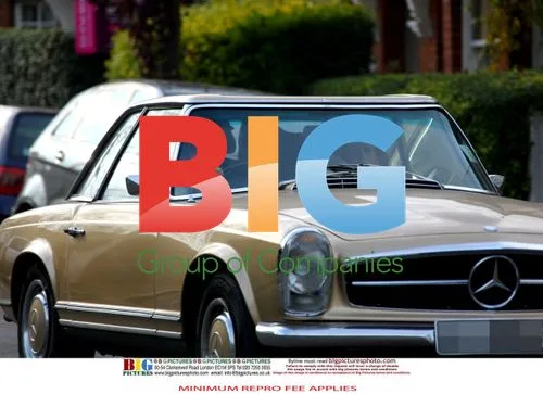 Jason Orange and Catherine Tate with Vintage Mercedes