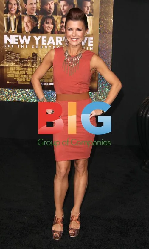 Shea Curry at 'New Year's Eve' Premiere