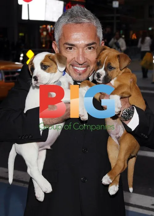 Celebs at NASDAQ Closing Bell & DogCatemy Rescue Awards
