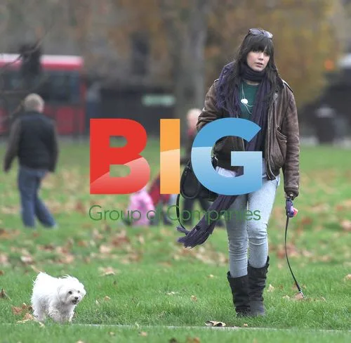 Daisy Lowe Walks Dog in Primrose Park
