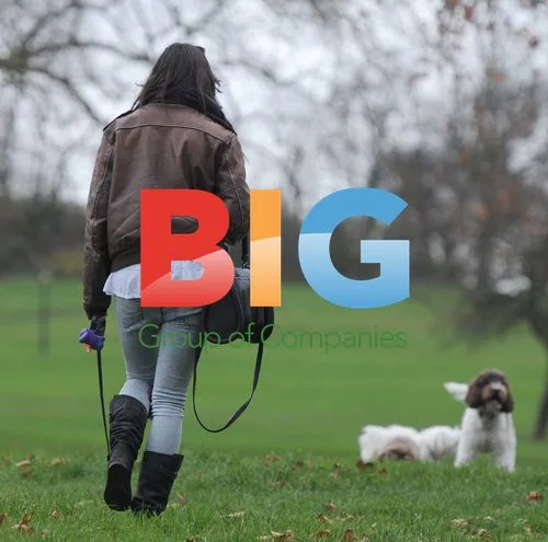 Daisy Lowe Walking Dog in Primrose Park