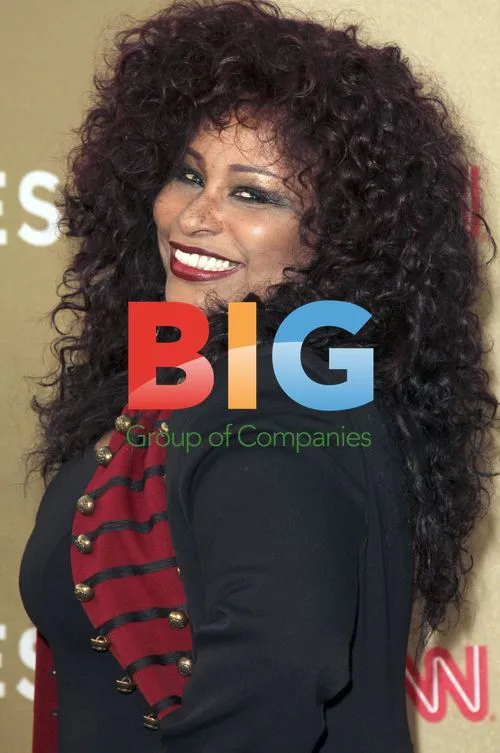 Chaka Khan at CNN Heroes Tribute
