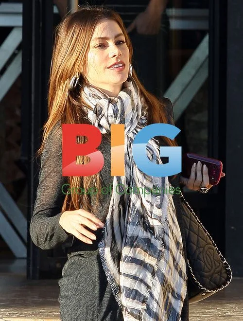 Sofia Vergara out for lunch in LA