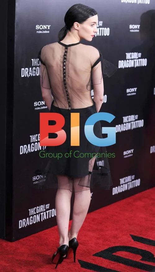 Rooney Mara & Daniel Craig at Dragon Tattoo Premiere