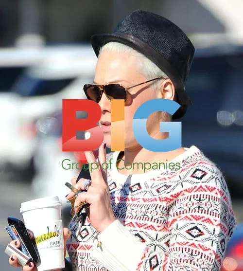 Singer Alecia Pink Moore Grabs Lunch in Malibu