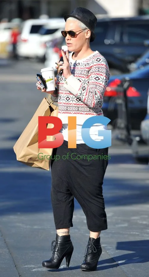 Singer Alecia Pink Moore Seen Out in Malibu