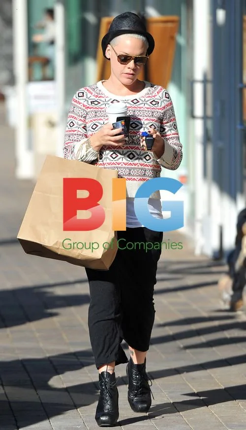 Alecia Pink Moore Grabbing Lunch in Malibu