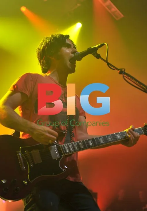 The Stereophonics in Concert