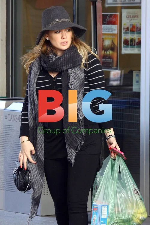 Hilary Duff goes shopping with family