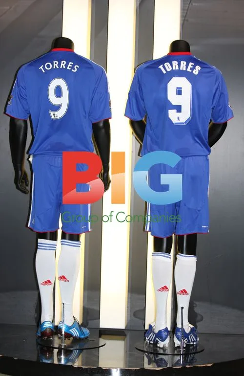 Chelsea Sign Fernando Torres