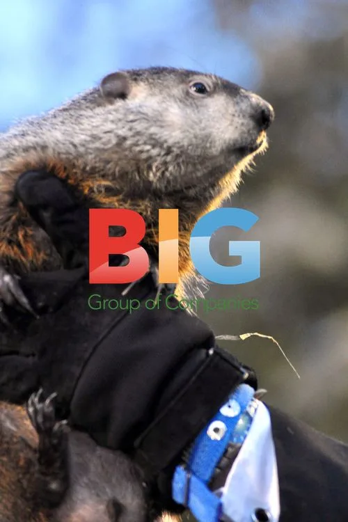 Punxsutawney Phil Groundhog Day Celebration