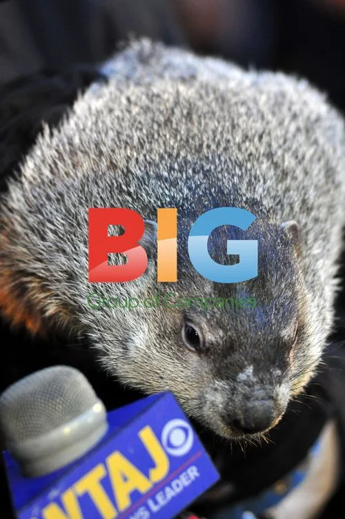 Punxsutawney Phil Forecasts Early Spring