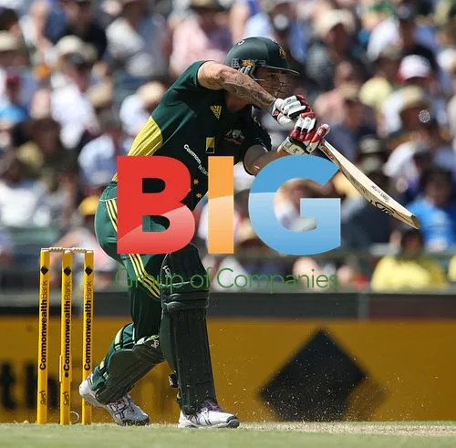 Mitchell Johnson at cricket match
